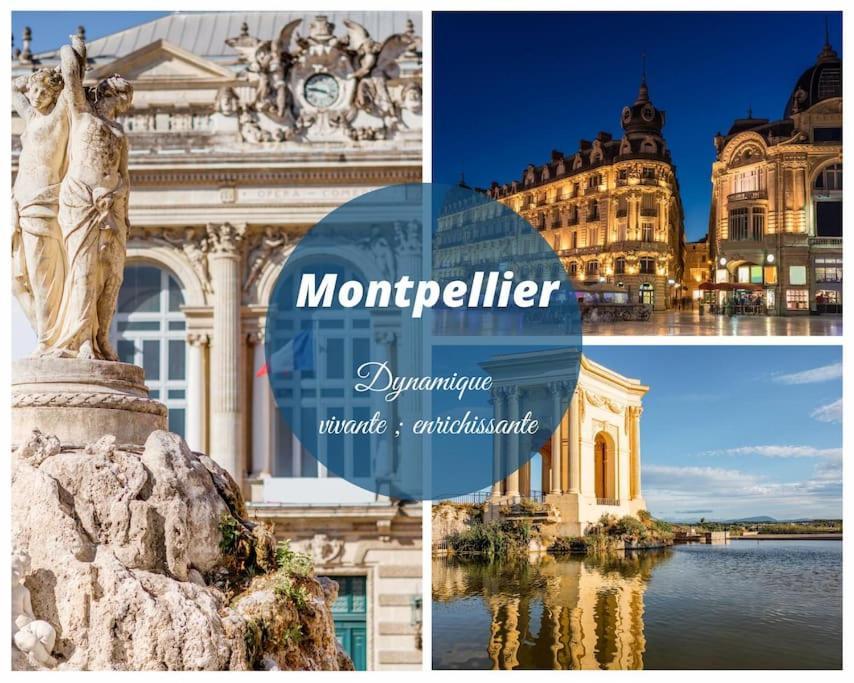 Le Nautilus Proche Plage Clim Parking Prive Wifi Proche Montpellier カルノン・プラージュ エクステリア 写真